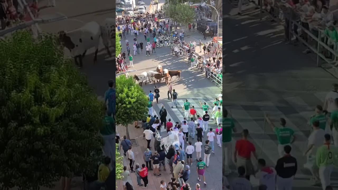 Encierro mixto en Cuellar 2026 - El toro rojo pone a la gente en alerta en el vallado de Cuéllar