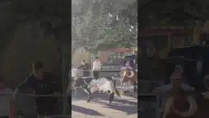Encierro mixto en Cuellar 2026 - Toros de la Flor de la Canela en Cuéllar
