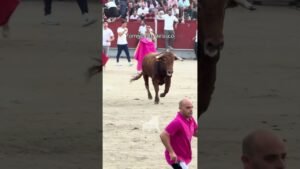Encierro urbano en Torrejon De Velasco 2026 - Carrusel de cortes, quiebros y saltos Torrejón de Velasco