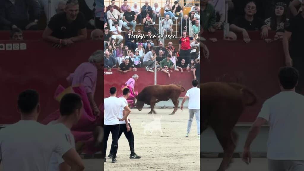 Encierro urbano en Torrejon De Velasco 2026 - ¡ATENCIÓN! Abuelo con el capote
