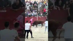 Encierro urbano en Torrejon De Velasco 2026 - ¡ATENCIÓN! Abuelo con el capote