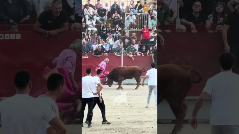 Encierro urbano en Torrejon De Velasco 2026 - ¡ATENCIÓN! Abuelo con el capote