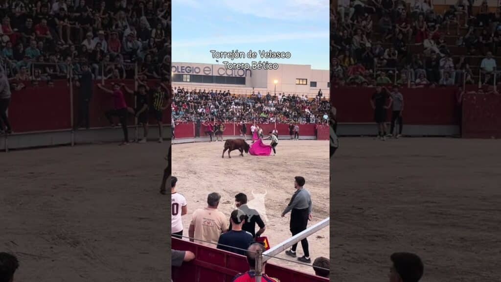 Encierro urbano en Torrejon De Velasco 2026 - Gustándose y sacando los olés del público