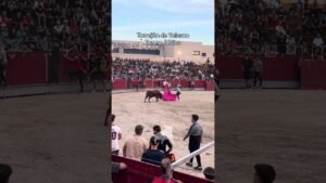 Encierro urbano en Torrejon De Velasco 2026 - Gustándose y sacando los olés del público