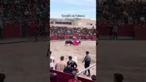 Encierro urbano en Torrejon De Velasco 2026 - Gustándose y sacando los olés del público