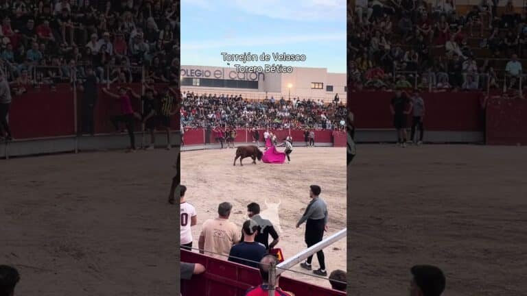 Encierro urbano en Torrejon De Velasco 2026 - Gustándose y sacando los olés del público