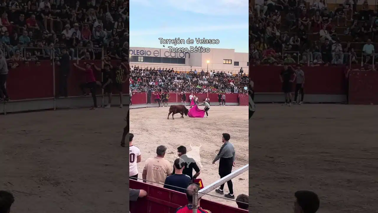 Encierro urbano en Torrejon De Velasco 2026 - Gustándose y sacando los olés del público