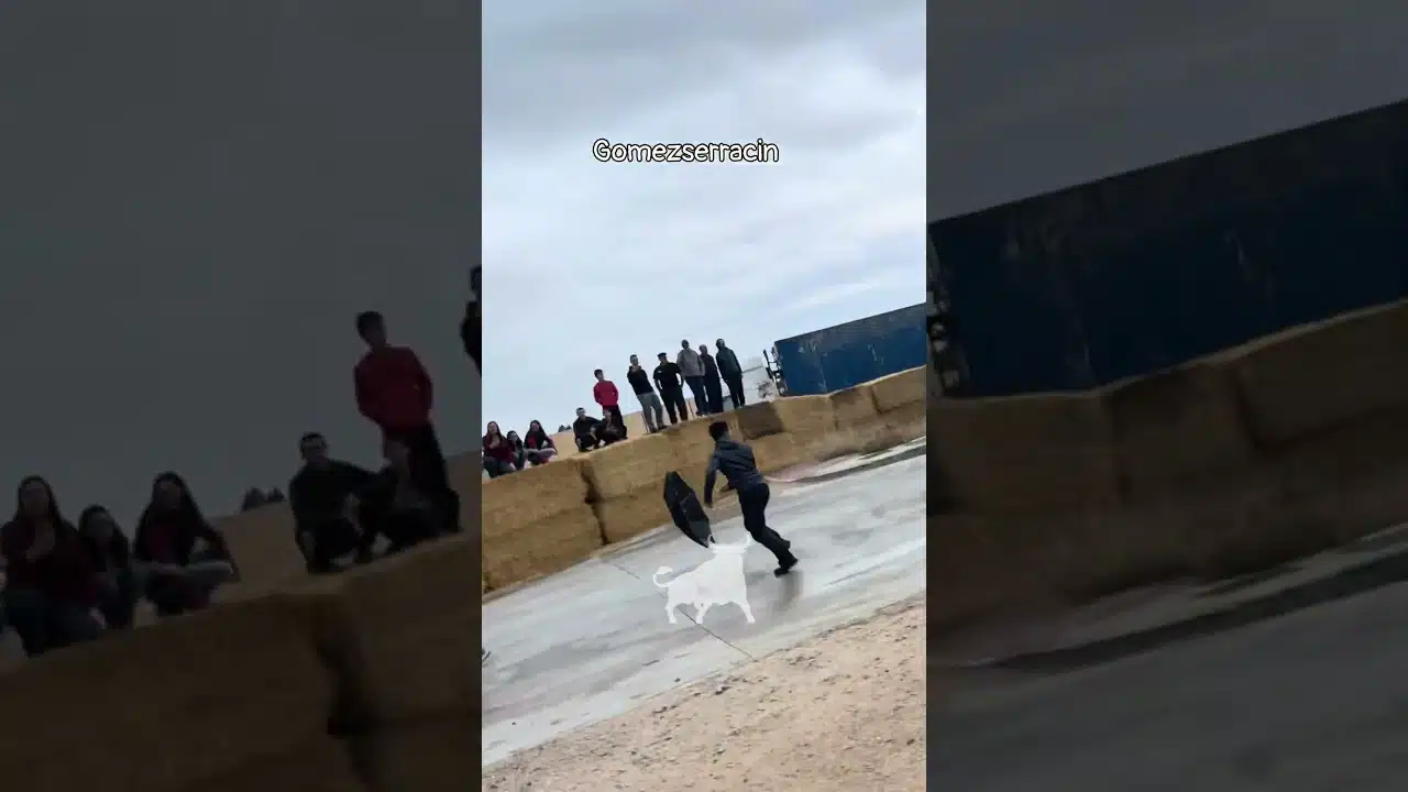 Encierro mixto en Gomezserracín 2026 - Novillo arremete en Gomezserracin
