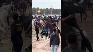 Encierro mixto en Gomezserracín 2026 - El Toro por poco alcanza al caballo