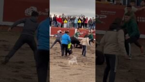 Encierro mixto en Gomezserracín 2026 - Mozo es revolcado y pateado por el toro
