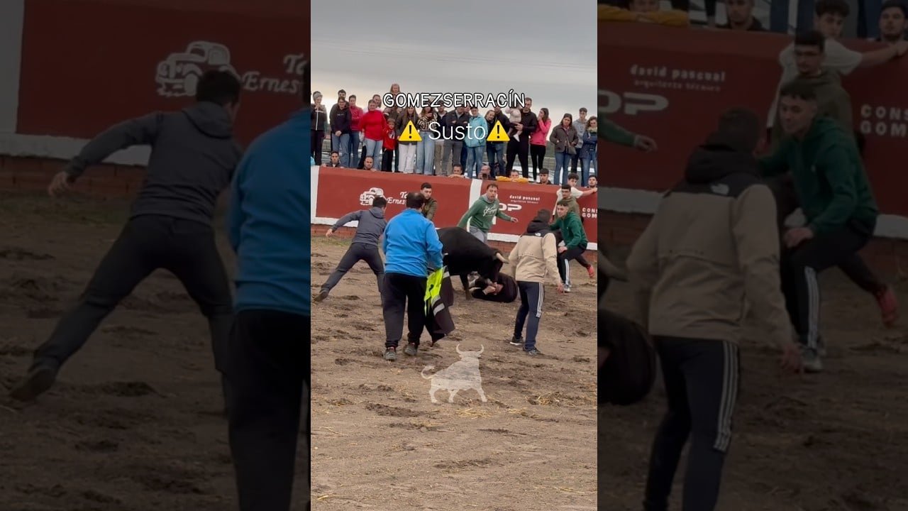 Encierro mixto en Gomezserracín 2026 - Mozo es revolcado y pateado por el toro