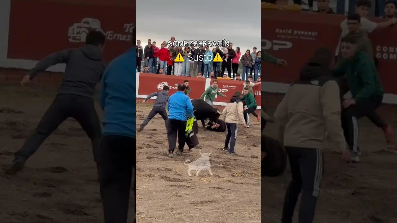 Encierro mixto en Gomezserracín 2026 - Mozo es revolcado y pateado por el toro