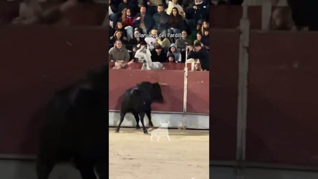 Encierro urbano en Villanueva Del Pardillo 2026 - Mozo se desliza y el toro arremete contra el