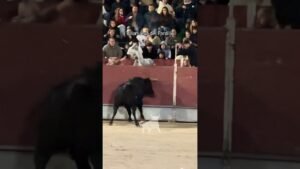 Encierro urbano en Villanueva Del Pardillo 2026 - Mozo se desliza y el toro arremete contra el