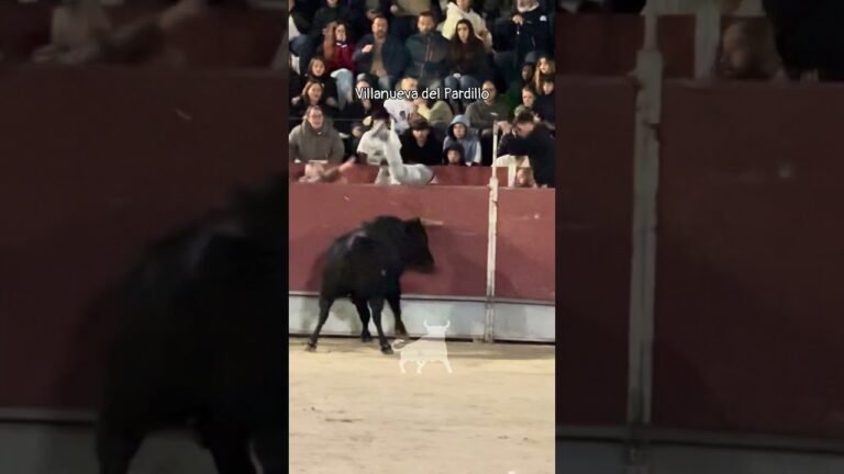 Encierro urbano en Villanueva Del Pardillo 2026 - Mozo se desliza y el toro arremete contra el