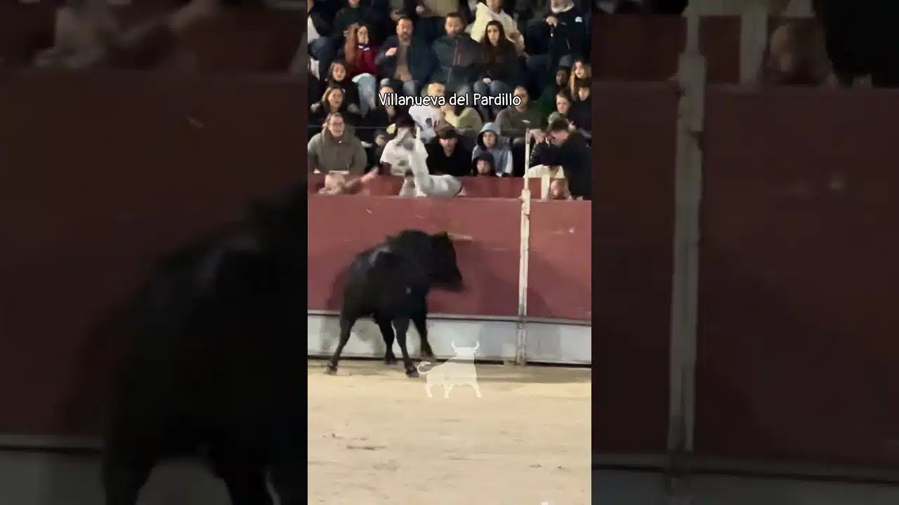 Encierro urbano en Villanueva Del Pardillo 2026 - Mozo se desliza y el toro arremete contra el