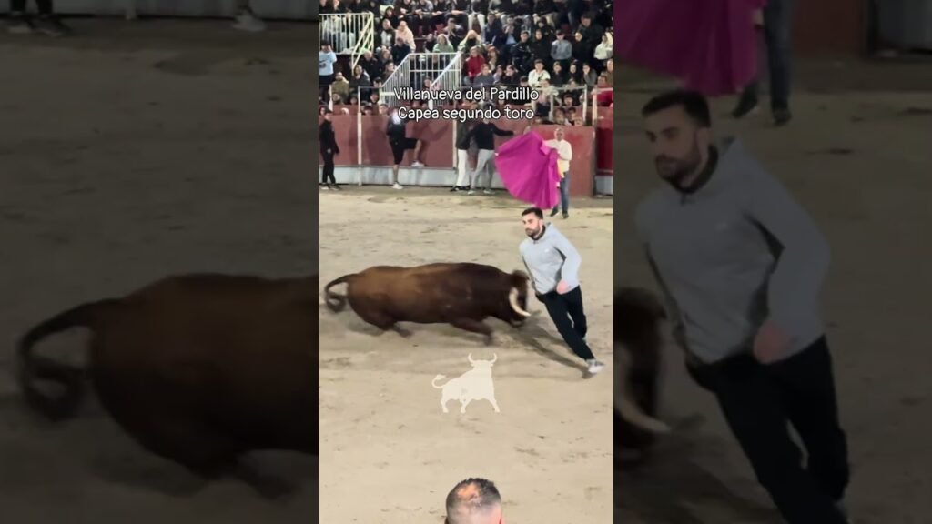 Encierro urbano en Villanueva Del Pardillo 2026 - Vertiginoso segundo toro