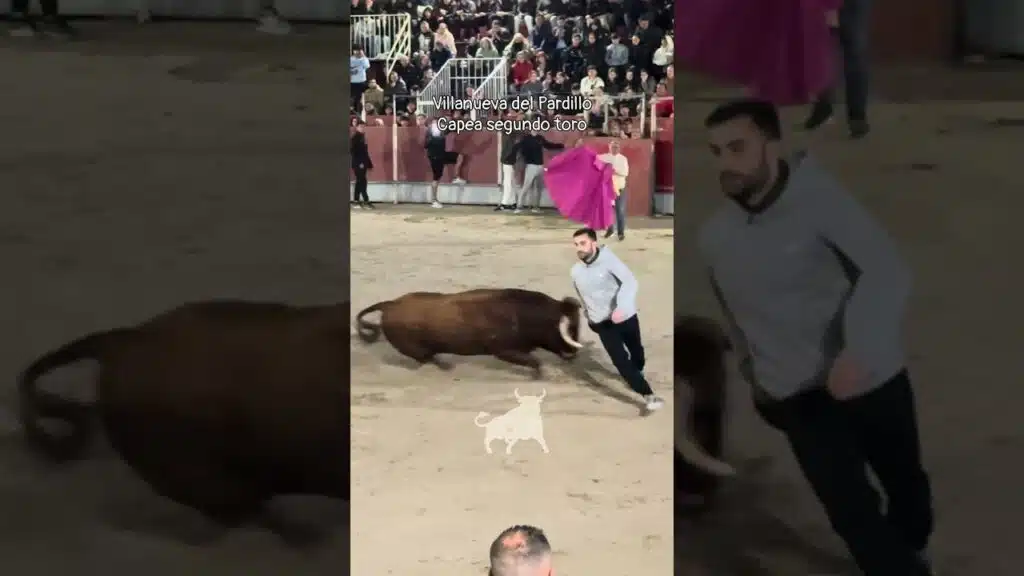 Encierro urbano en Villanueva Del Pardillo 2026 - Vertiginoso segundo toro