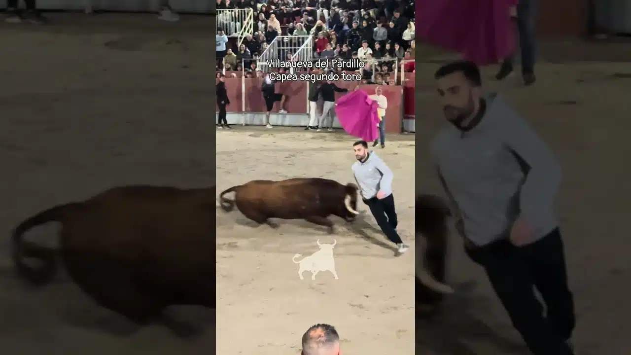 Encierro urbano en Villanueva Del Pardillo 2026 - Vertiginoso segundo toro