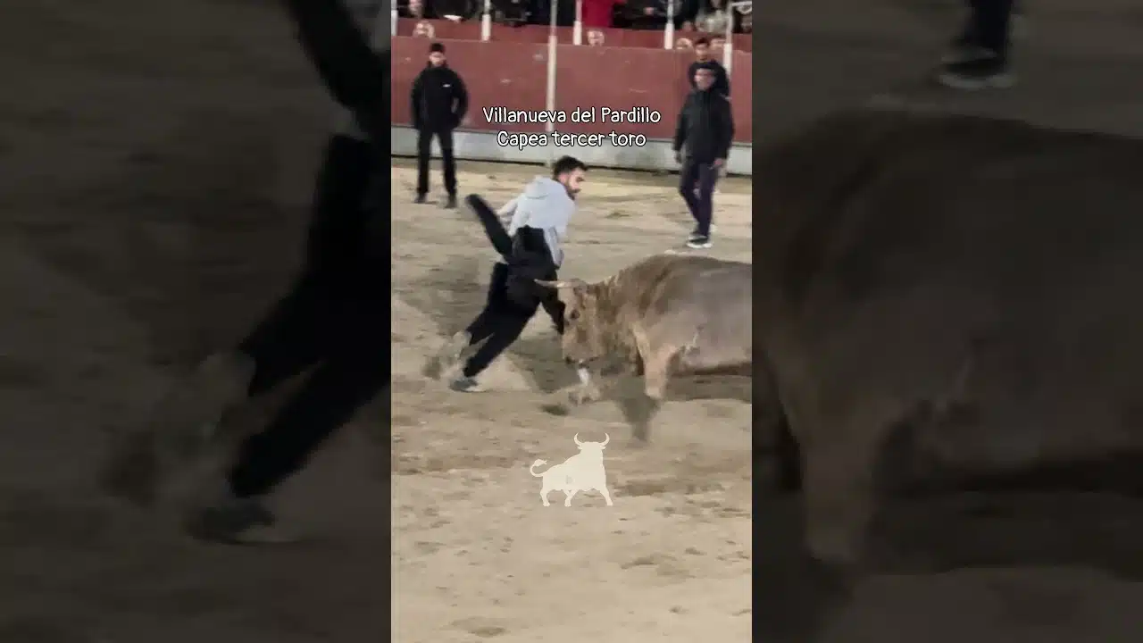 Encierro urbano en Villanueva Del Pardillo 2026 - Dando giros al toro con la chaqueta