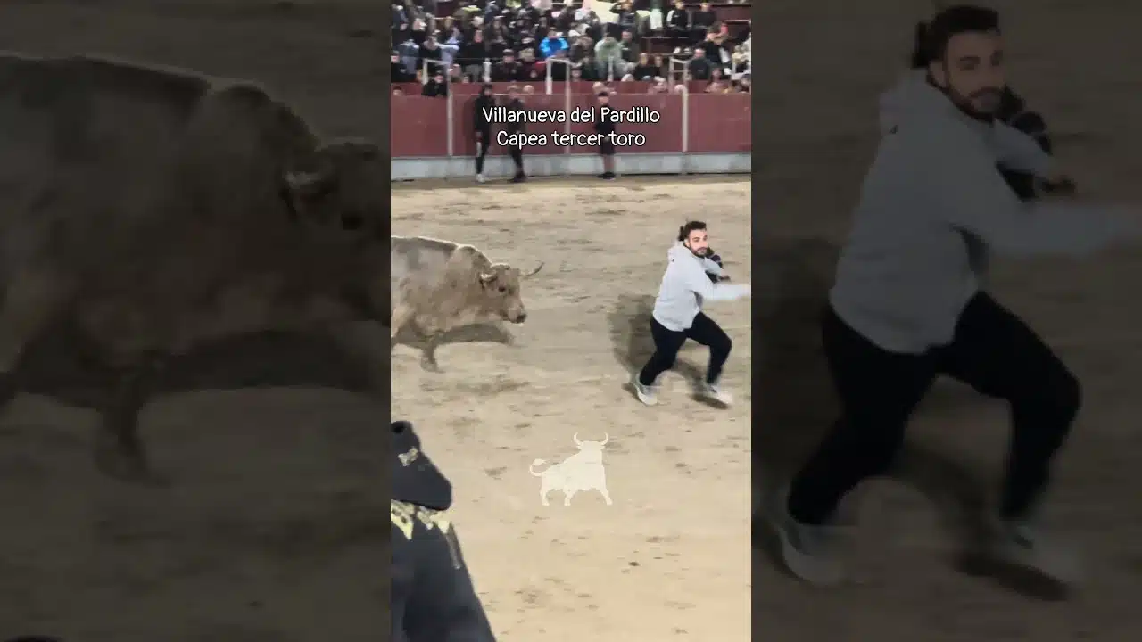 Encierro urbano en Villanueva Del Pardillo 2026 - Brillante el tercer toro