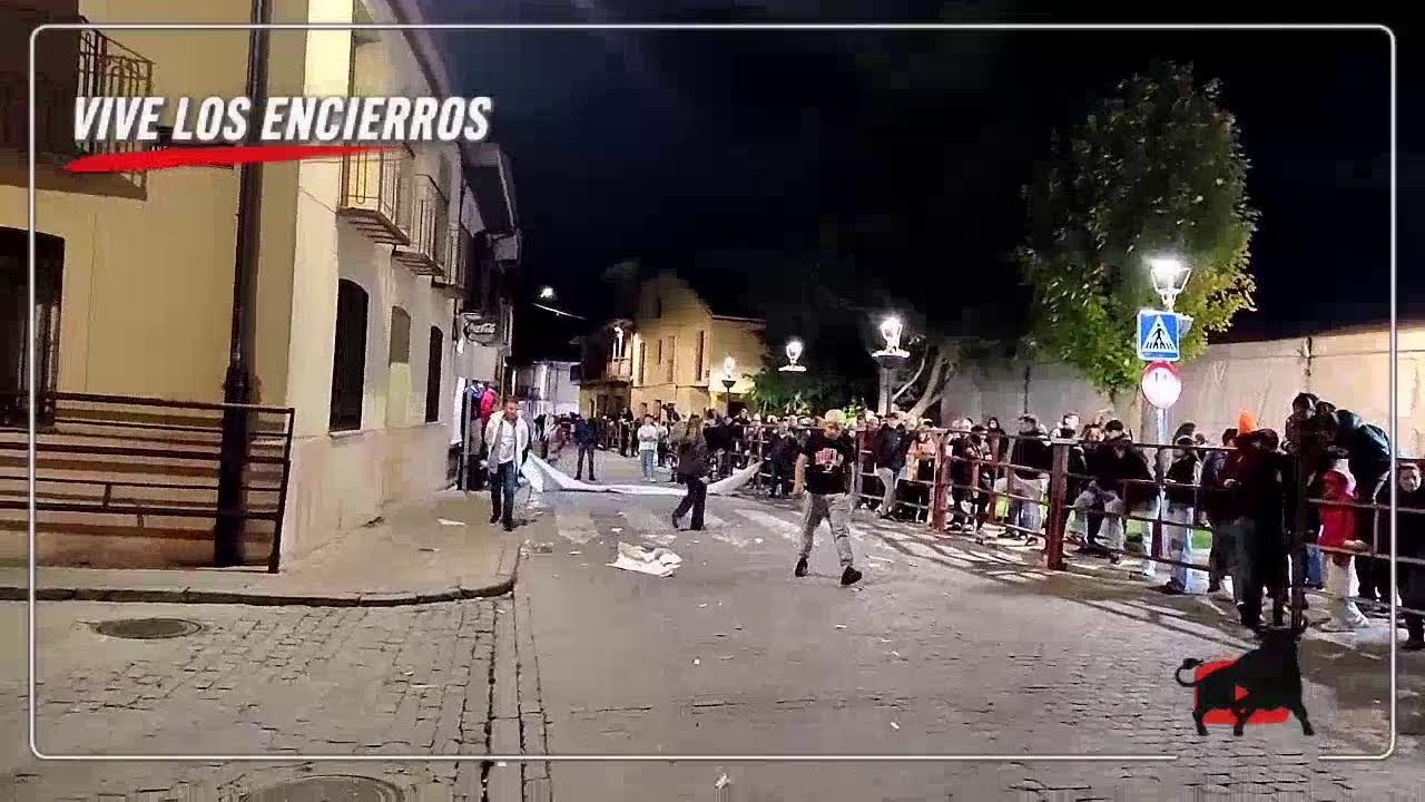 Encierro urbano en Aguilafuente 2026 - DIRECTO AGUILAFUENTE SEGOVIA 25-10-26