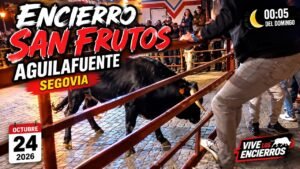 Encierro en Aguilafuente 2026 - ENCIERRO NOCTURNO de SAN FRUTOS 2026