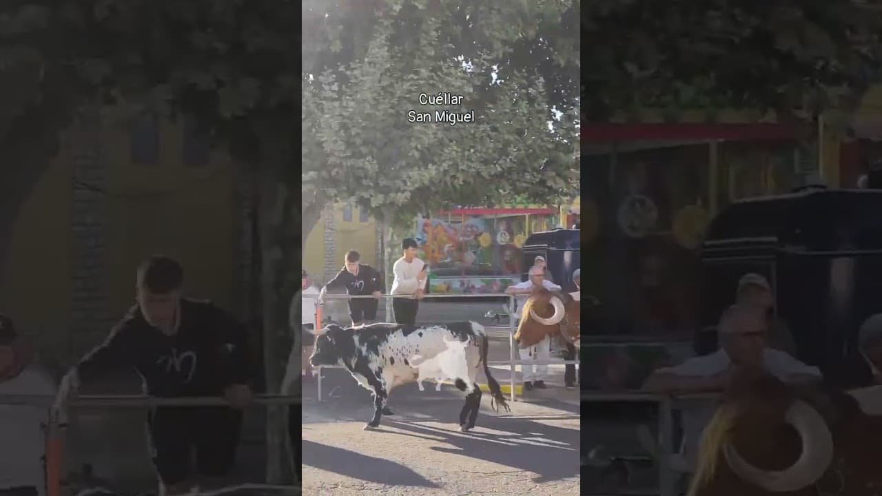Encierro mixto en Cuellar 2026 - Toros de la Flor de la Canela en Cuéllar